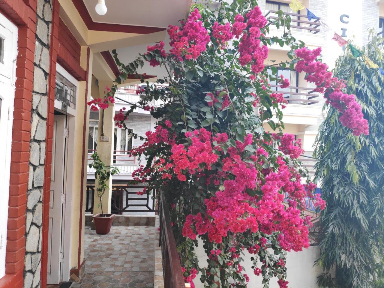 Hotel Angel Pokhara Dış mekan fotoğraf